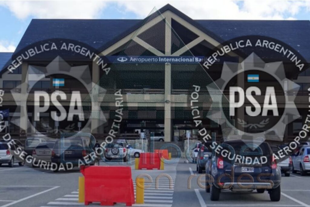 Fuerzas de INSeguridad