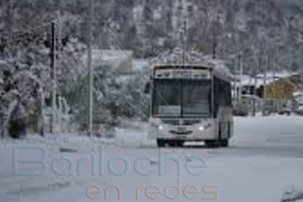 Servicio de Colectivos