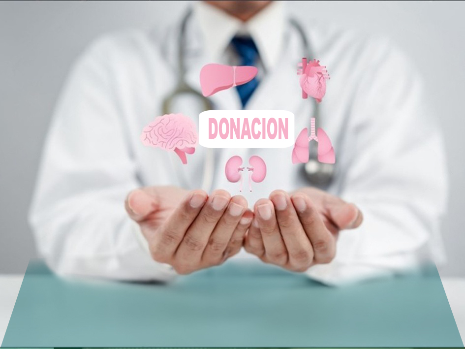 donación de órganos y tejidos