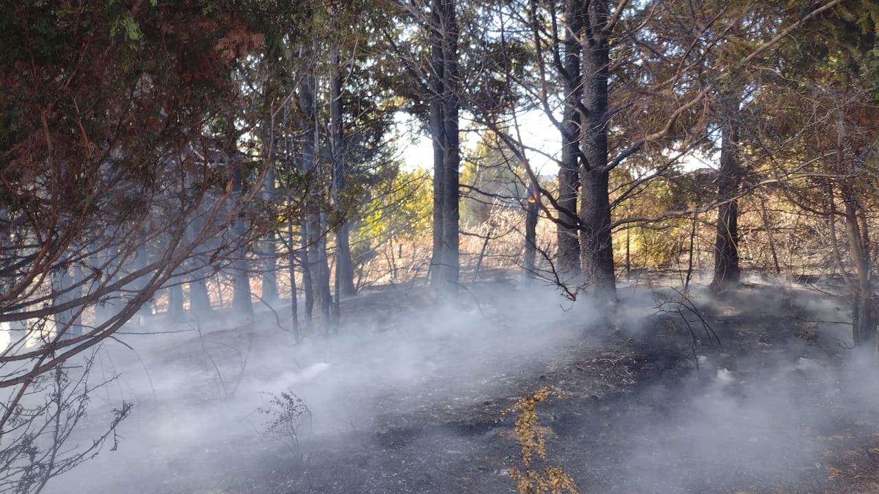 Recortes del Gobierno Nacional agudizan los Riesgos de Incendios para este verano