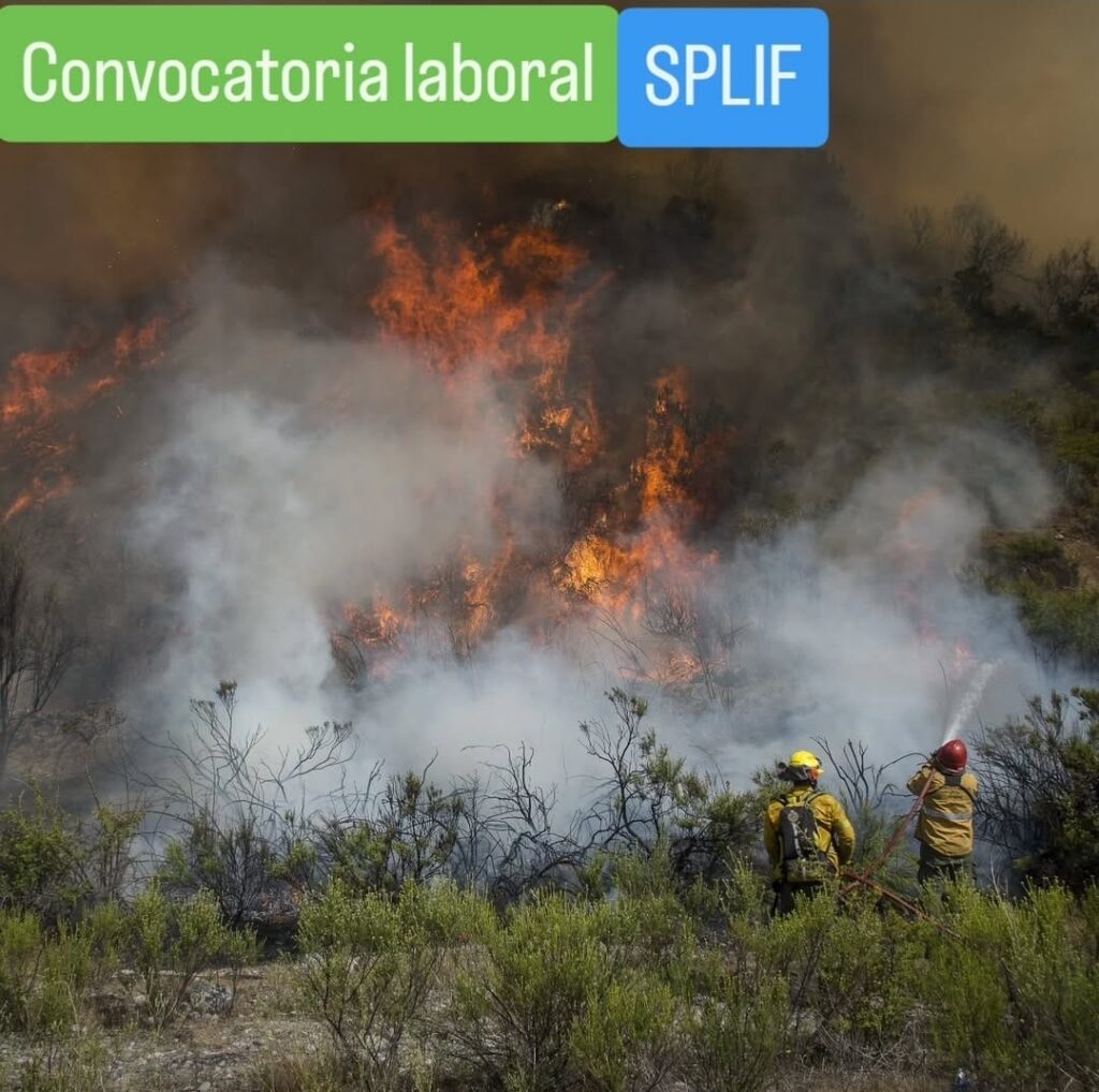 Convocatoria abierta para sumarse al SPLIF en la Zona Andina