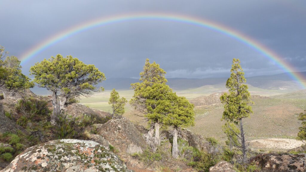 Explorá la Naturaleza en primavera en Bariloche