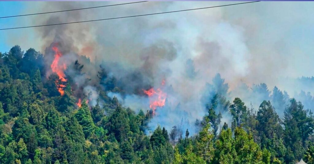 incendio en el cerro Otto