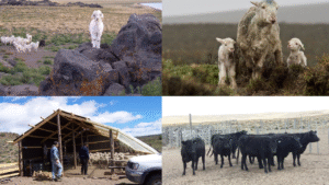 Sistemas agroecológicos de producción — curso de posgrado en la UNRN