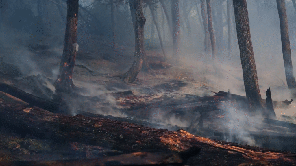 Ecos del fuego — documental en Bariloche sobre incendios