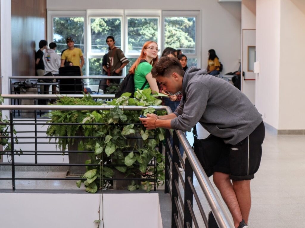 uso del celular en la vida universitaria