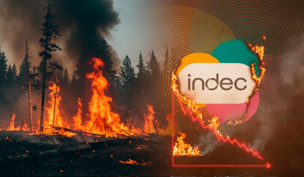 Coincidencias que avivan el fuego: renunció Lavagna al INDEC mientras la Patagonia arde