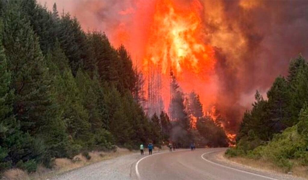 La Patagonia en cenizas: cuando el Estado se convierte en combustible