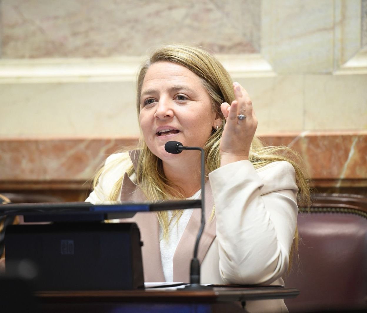 Ana Marks impulsa una ley que protege a familias endeudadas