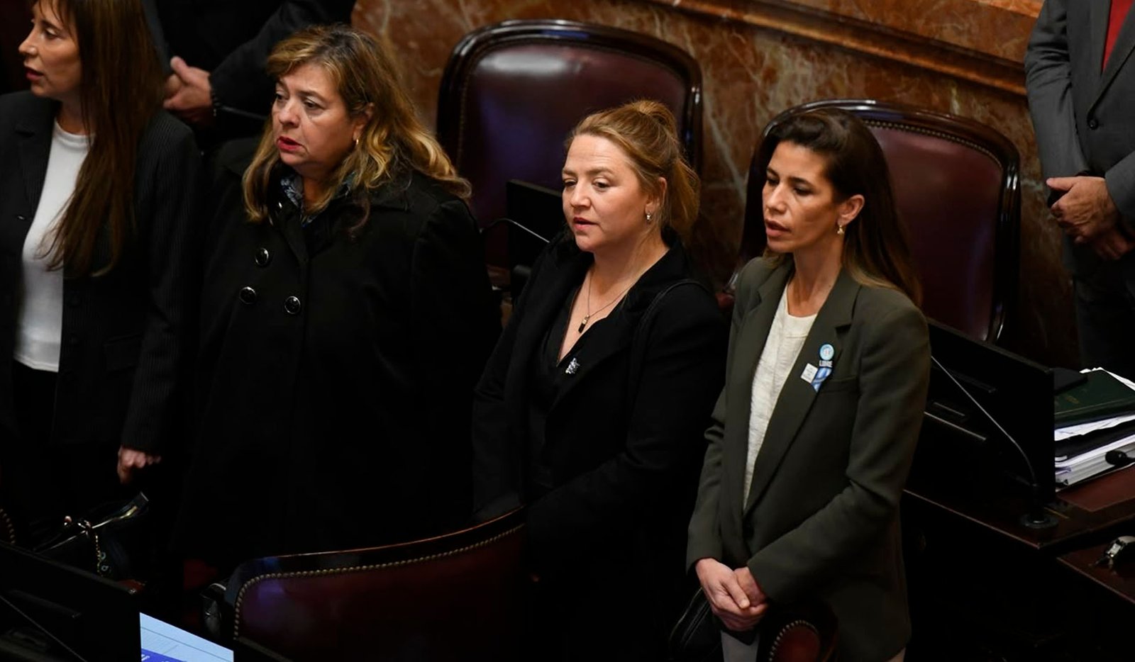 Ana Marks advirtió que la reforma de la Zona Fría impacta negativamente en los hogares