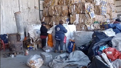 Recicladores piden ser incluidos en el plan de residuos de Río Negro